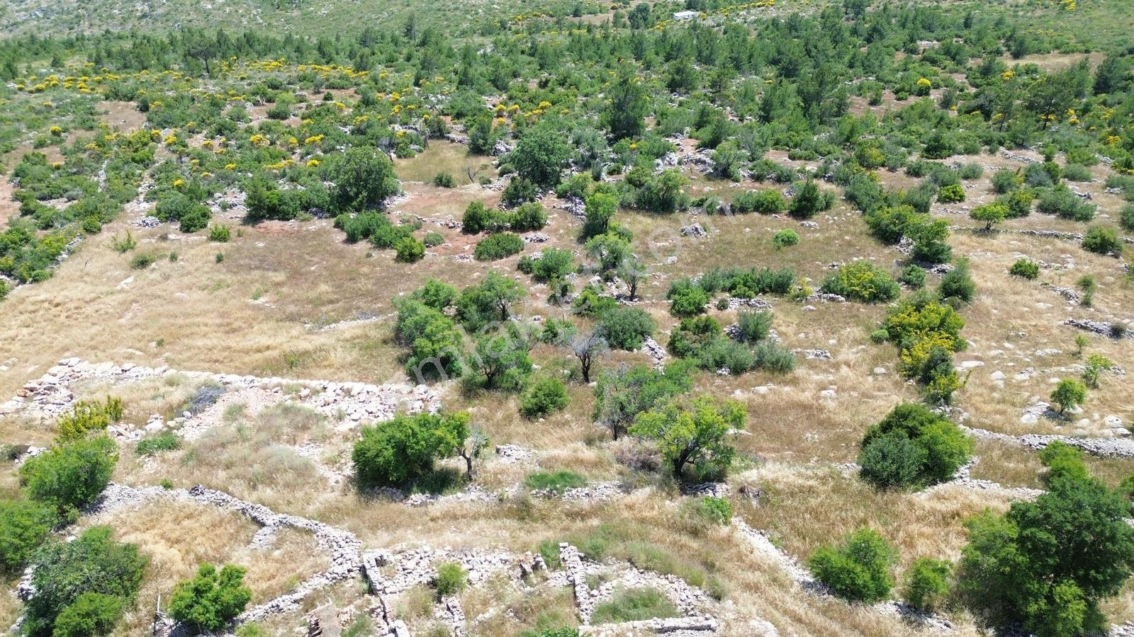 Karakuş Emlaktan Yaylalık Deniz Manzaralı 3213 M² Satılık Arsa - Görsel 7
