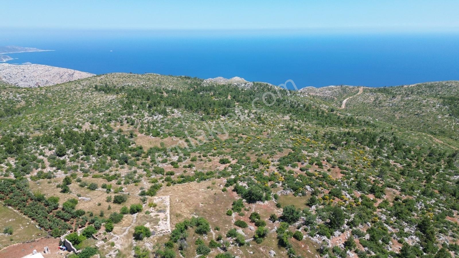 Karakuş Emlaktan Yaylalık Deniz Manzaralı 3213 M² Satılık Arsa - Görsel 9