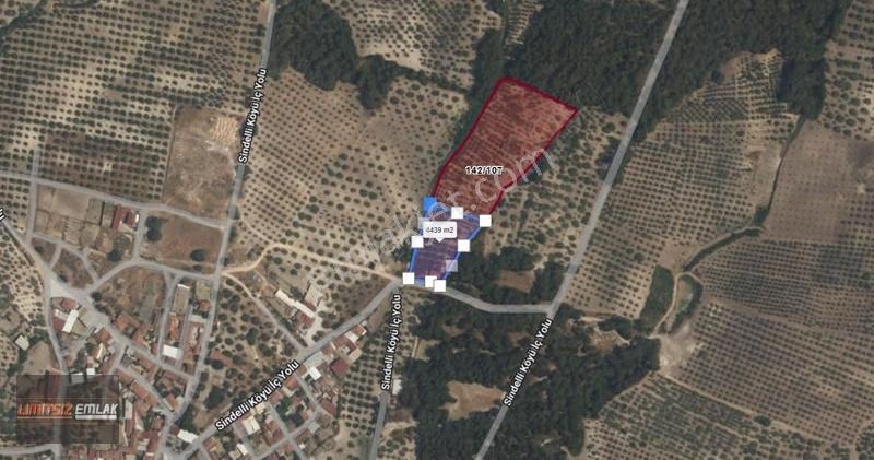 Sindelli'de Köy Girişi | 4436 M2 | 4 Adet 10 Ton Zeytin Kuyulu - Görsel 2