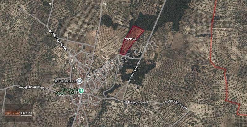 Sindelli'de Köy Girişi | 4436 M2 | 4 Adet 10 Ton Zeytin Kuyulu