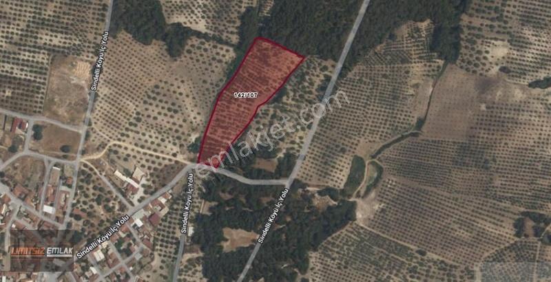 Sindelli'de Köy Girişi | 4436 M2 | 4 Adet 10 Ton Zeytin Kuyulu - Görsel 3