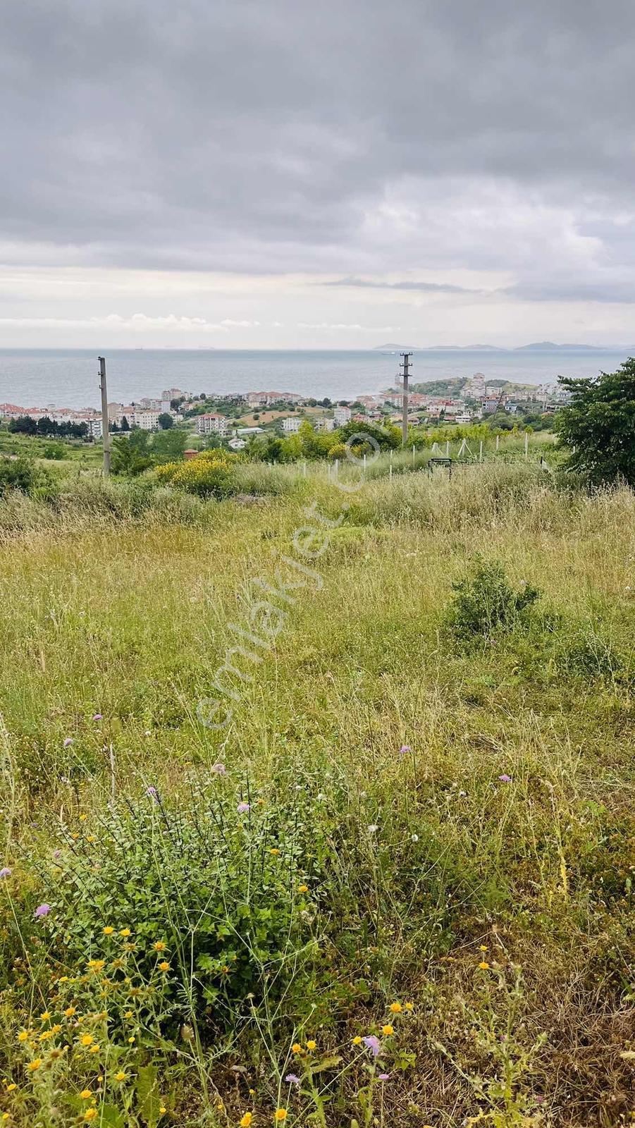 Yalova Çınarcık'da Deniz Manzaralı 392 M² Villa İmarlı Arsa - Görsel 12