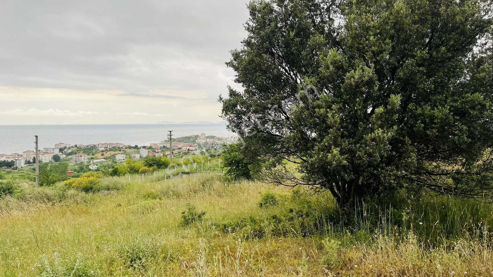 Yalova Çınarcık'da Deniz Manzaralı 392 M² Villa İmarlı Arsa - Görsel 10