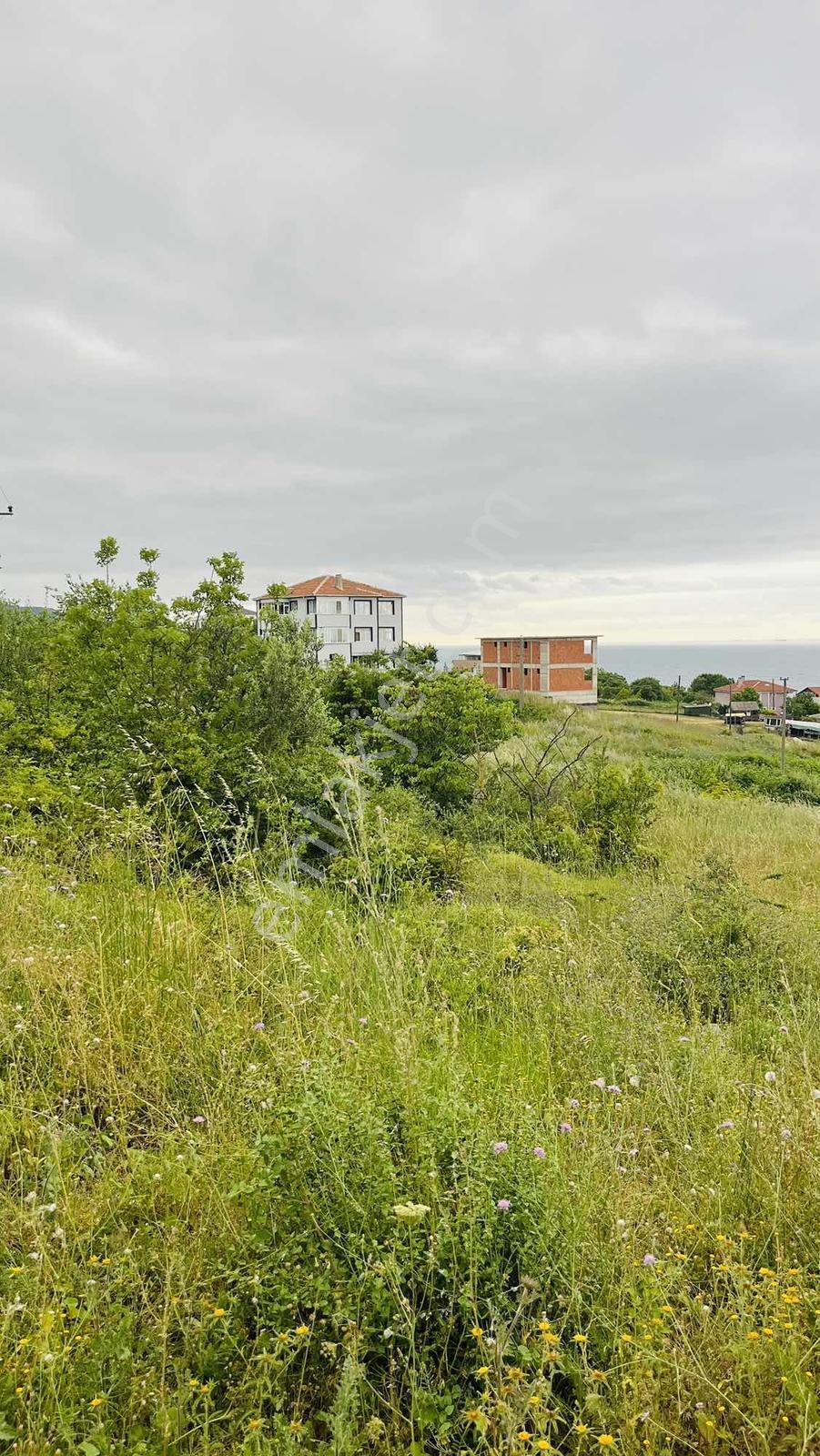 Yalova Çınarcık'da Deniz Manzaralı 392 M² Villa İmarlı Arsa - Görsel 5