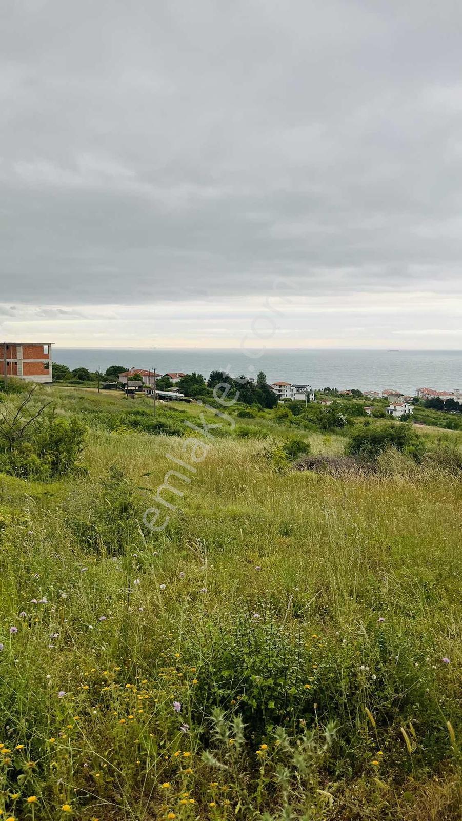 Yalova Çınarcık'da Deniz Manzaralı 392 M² Villa İmarlı Arsa - Görsel 6