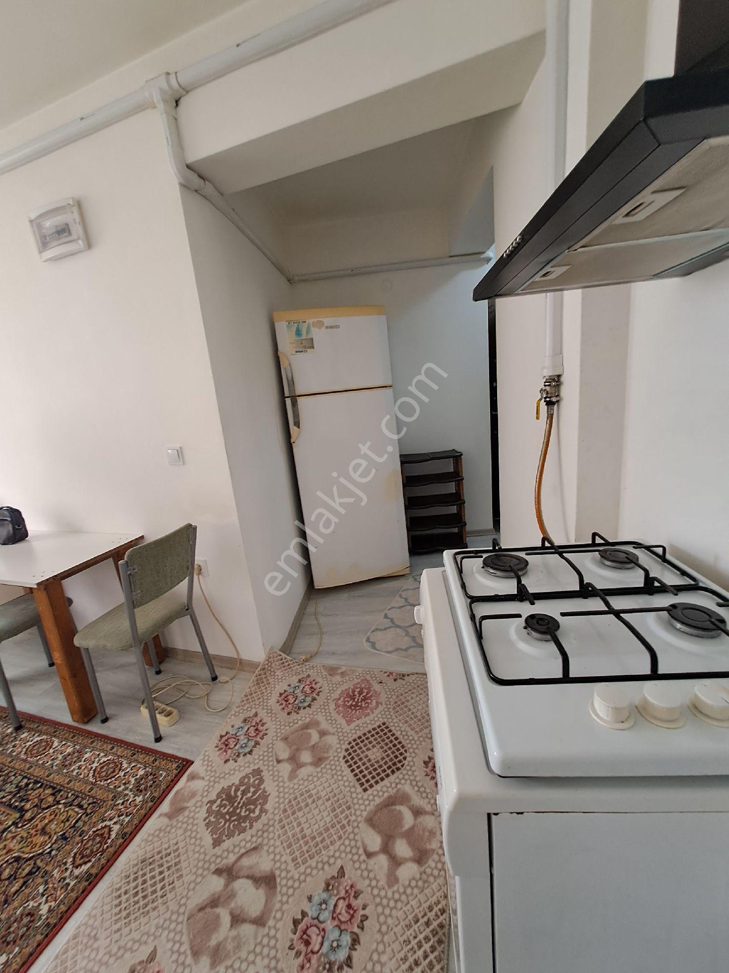 Kadıoğlu Emlak Giresun Teyyaredüzü Mah Eşyalı Kiralık Dublex 1+1,daire - Görsel 11