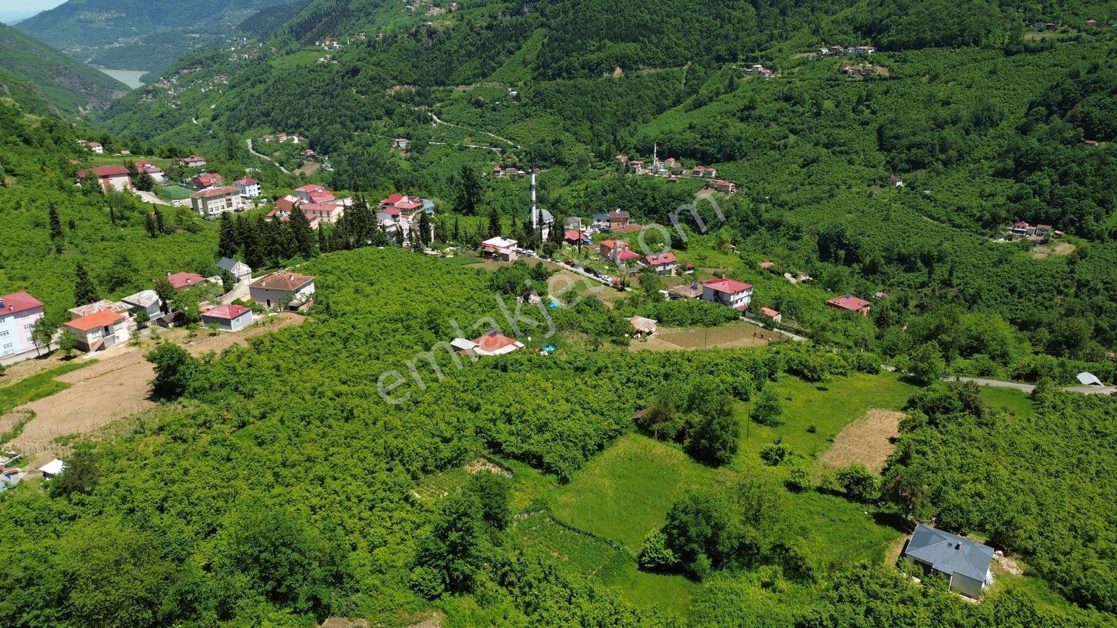 Wisrem'den Baraj Ve Doğa Manzaralı Villalık Arsa - Görsel 5