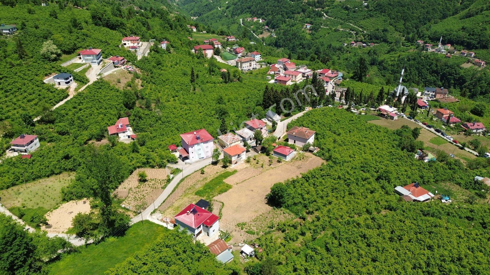 Wisrem'den Baraj Ve Doğa Manzaralı Villalık Arsa - Görsel 8