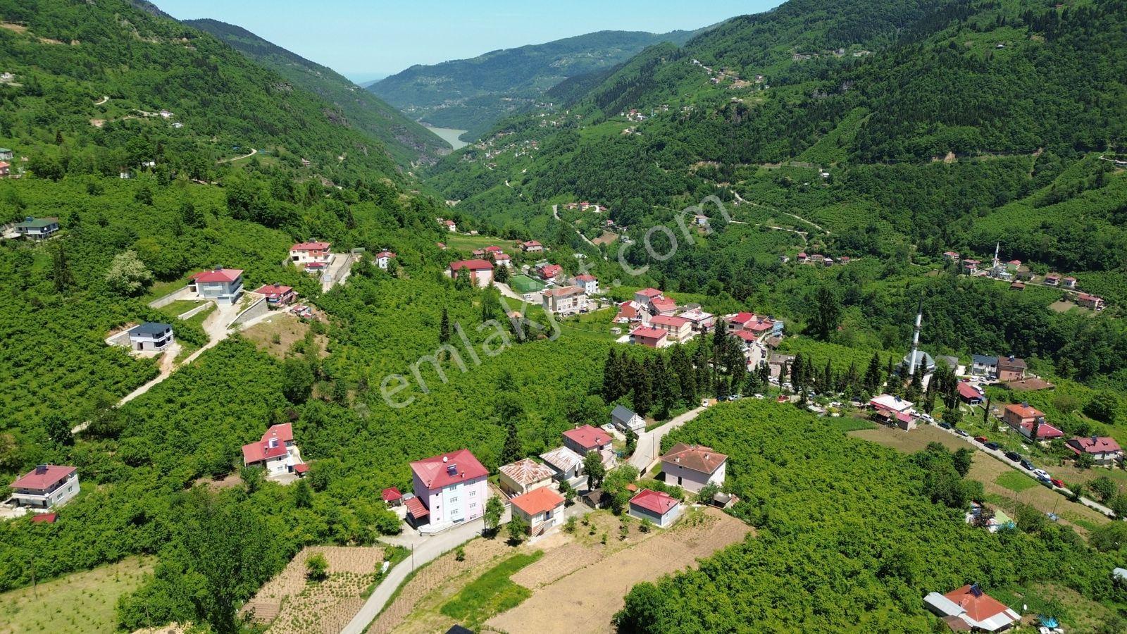Wisrem'den Baraj Ve Doğa Manzaralı Villalık Arsa - Görsel 12