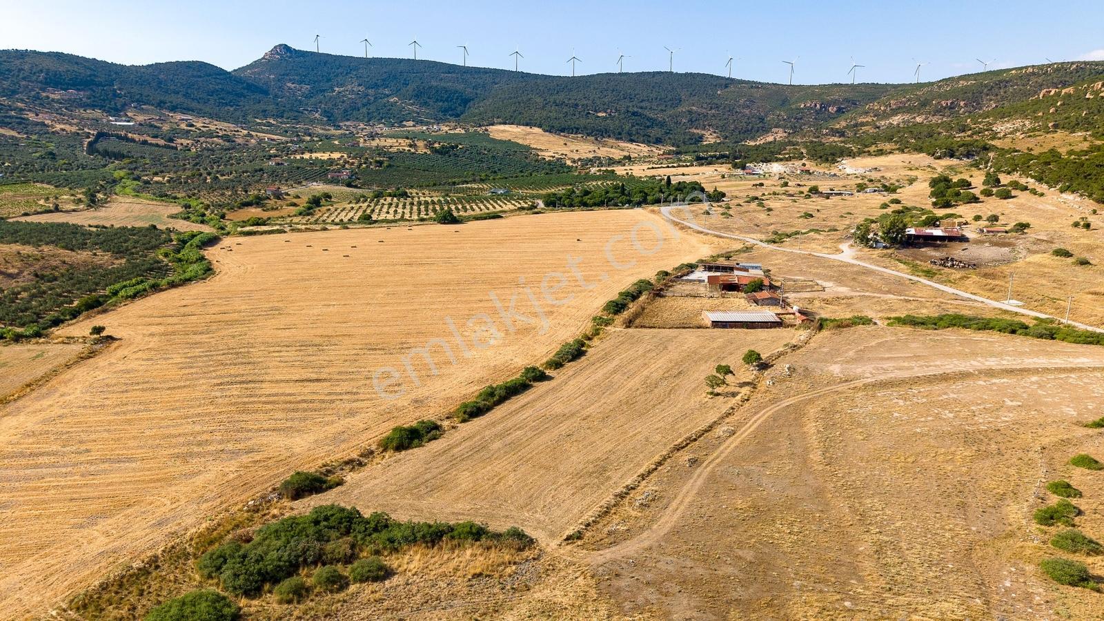 Foça Kocamehmetler Mah. Satılık Tarla - Görsel 6