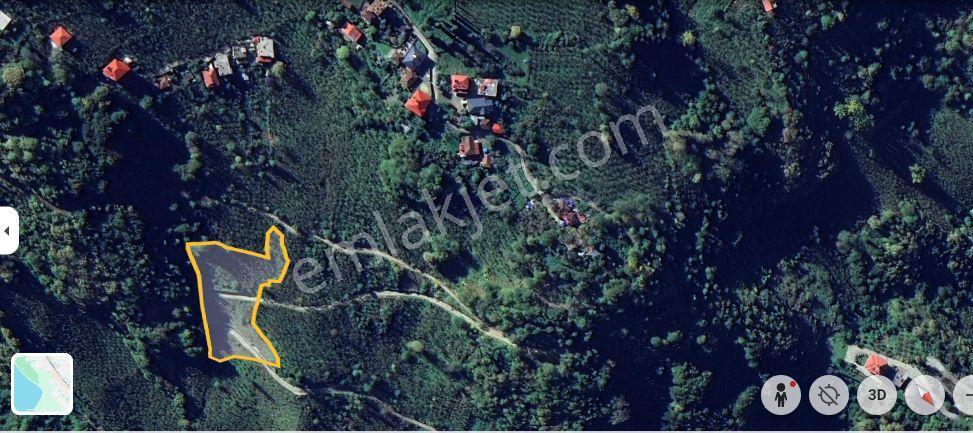 Wisrem'den Ortahisar'da Satılık Villalık Arsa Ve Fındık Bahçesi - Görsel 43