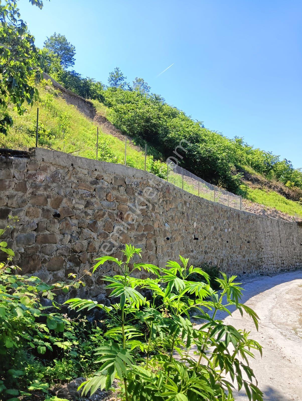 Wisrem'den Ortahisar'da Satılık Villalık Arsa Ve Fındık Bahçesi - Görsel 17