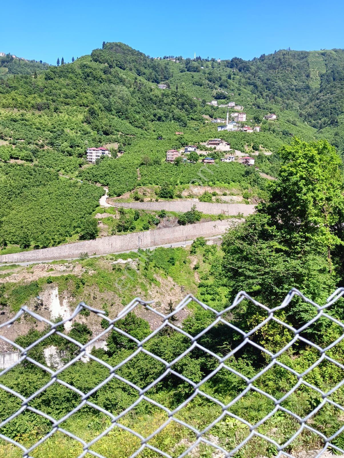 Wisrem'den Ortahisar'da Satılık Villalık Arsa Ve Fındık Bahçesi