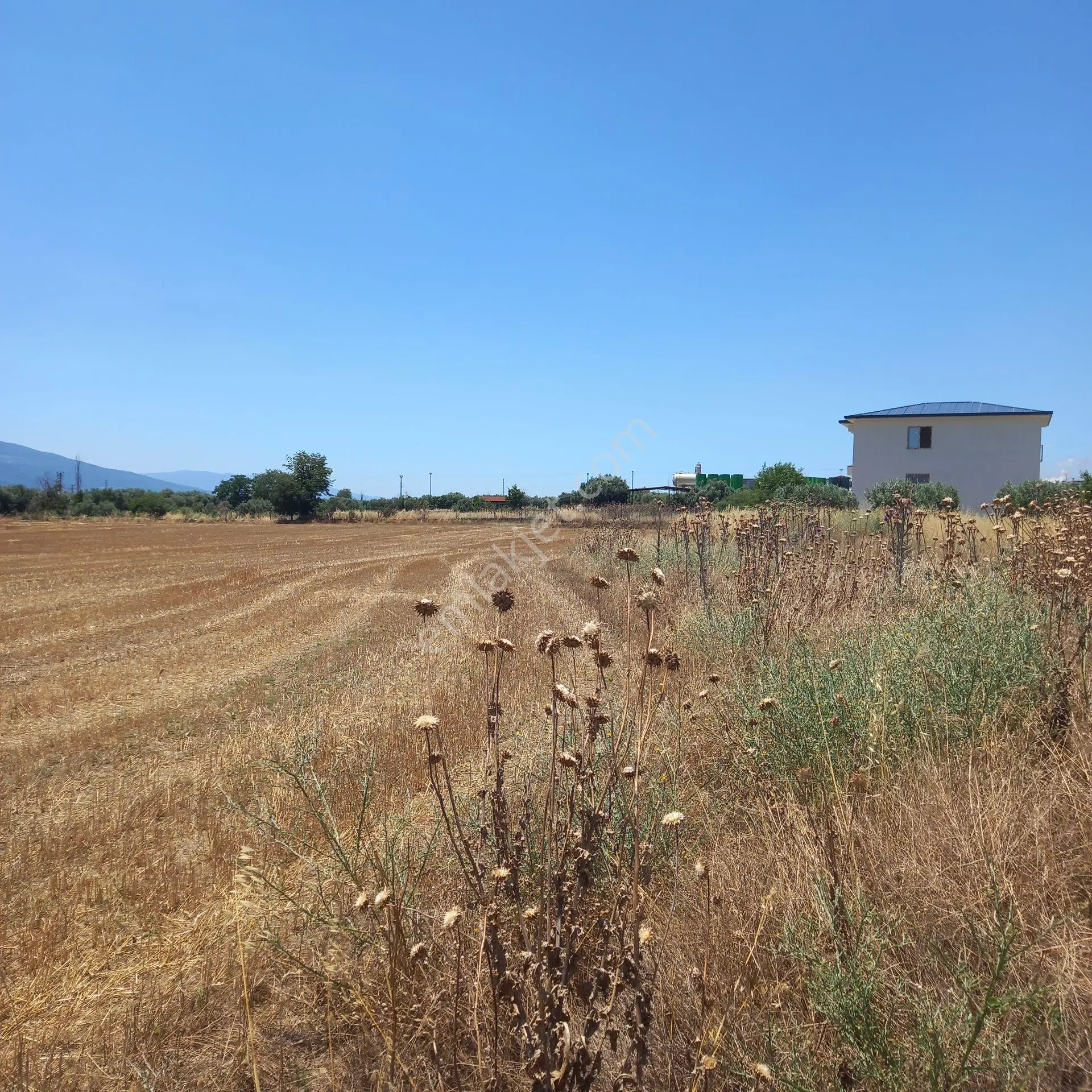 Pamukören'de 609 M² Konut İmarlı Yatırımlık Arsa - Görsel 24