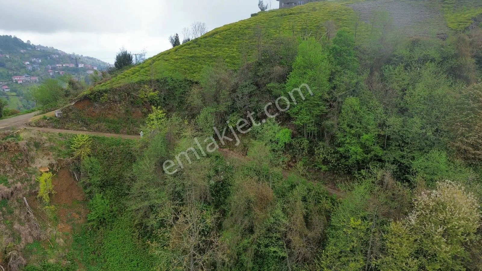 Rize Pazar Aktepede Satılık Arazi