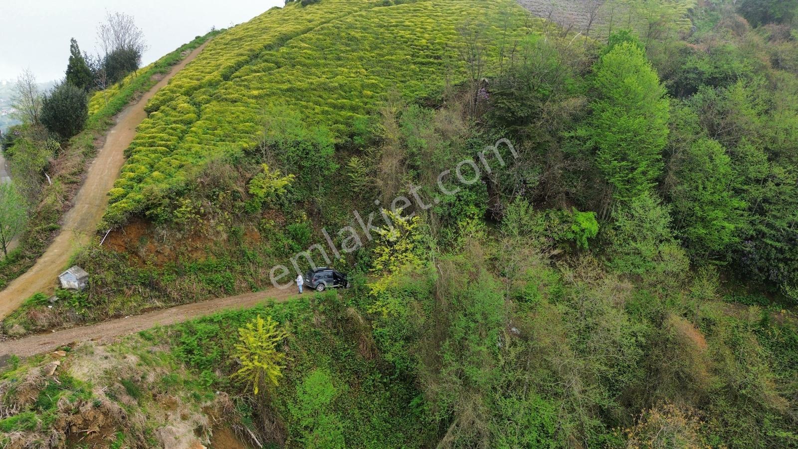 Rize Pazar Aktepede Satılık Arazi - Görsel 18