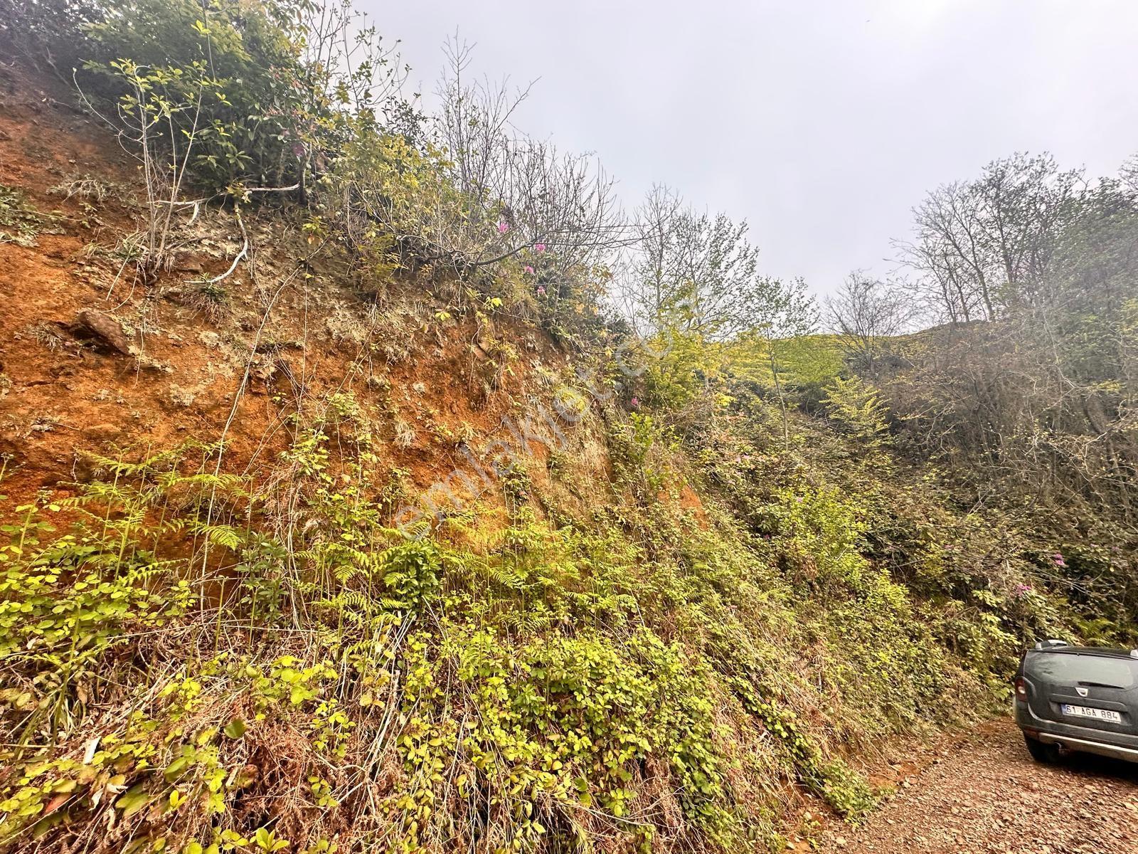 Rize Pazar Aktepede Satılık Arazi - Görsel 4