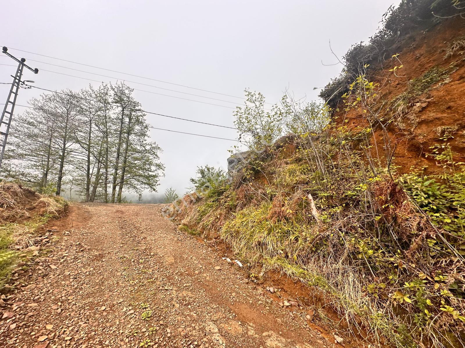 Rize Pazar Aktepede Satılık Arazi - Görsel 20