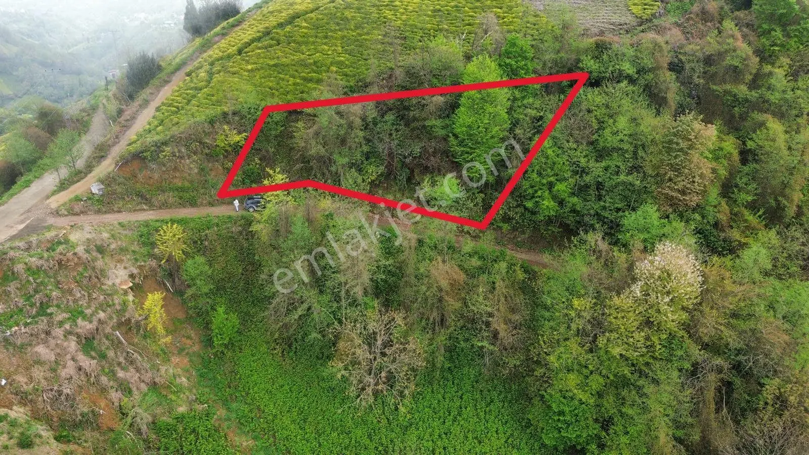 Rize Pazar Aktepede Satılık Arazi - Görsel 2
