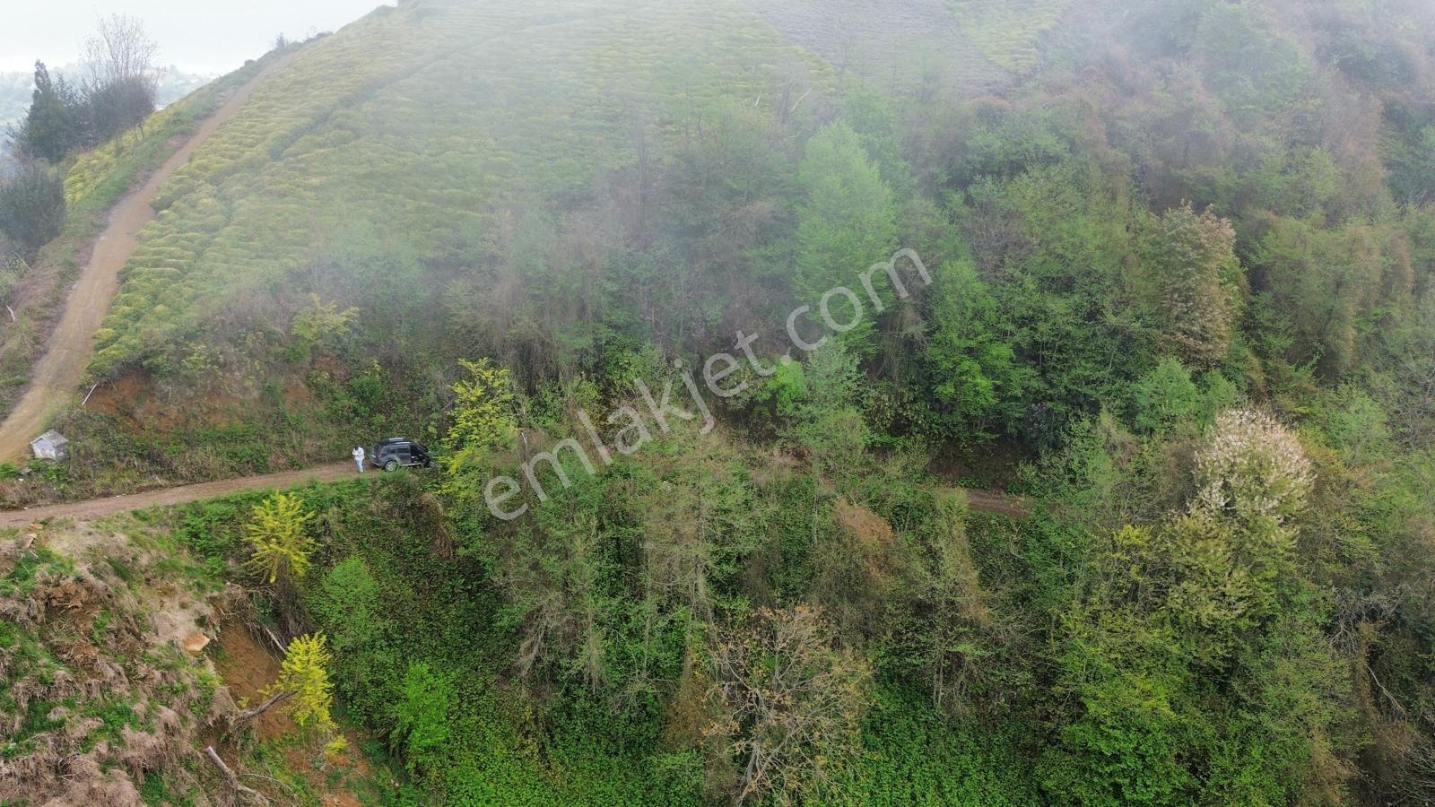 Rize Pazar Aktepede Satılık Arazi - Görsel 22