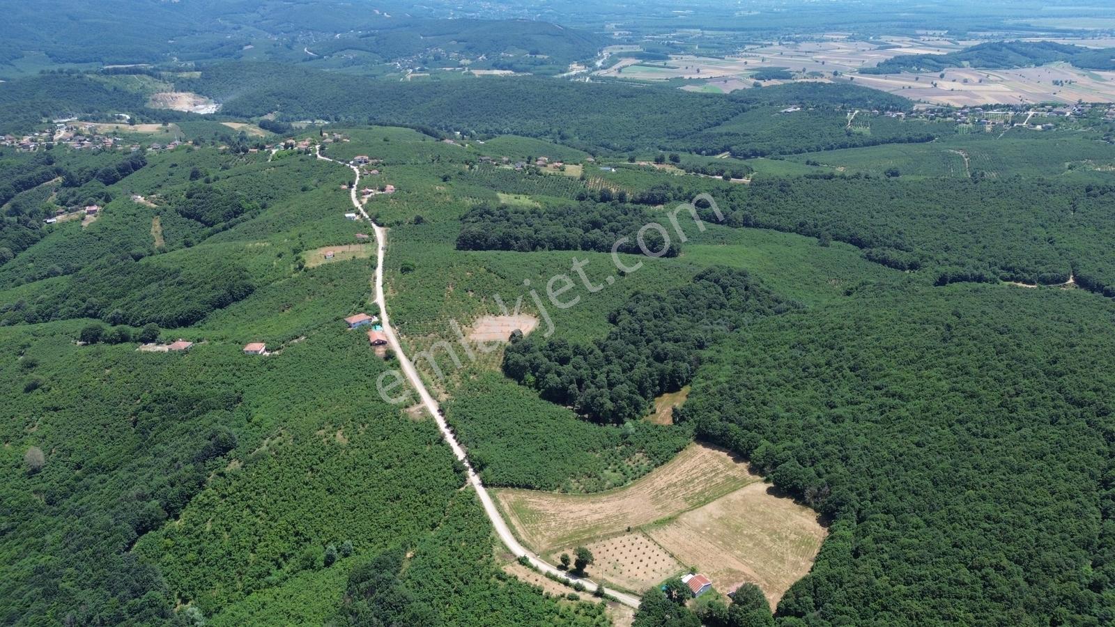 Karateke Köy Merkezinde 16788m2 Satılık Arsa - Görsel 10