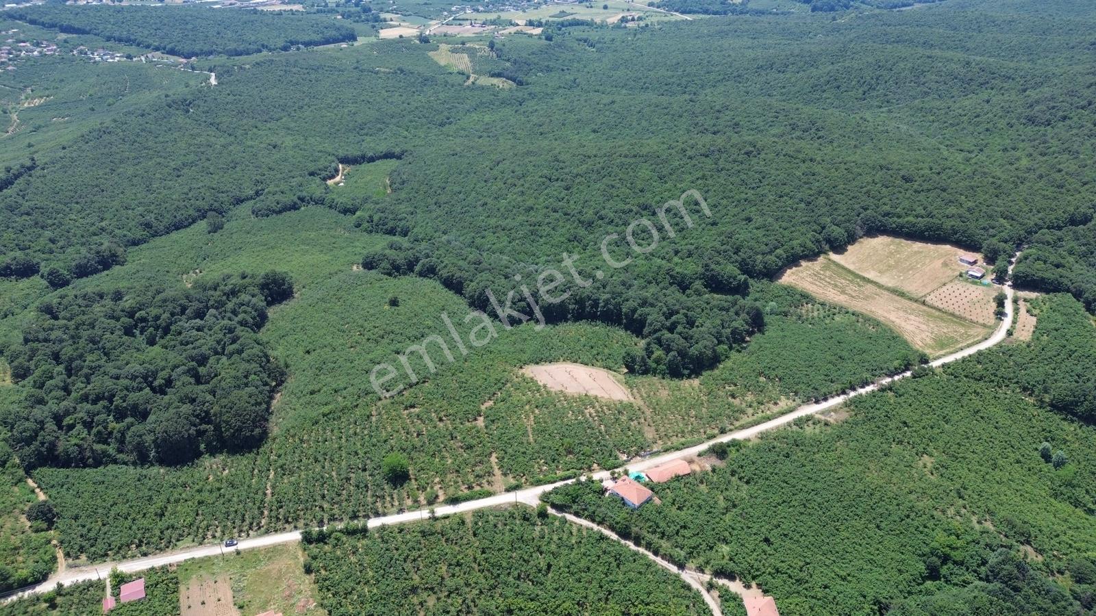 Karateke Köy Merkezinde 16788m2 Satılık Arsa - Görsel 4
