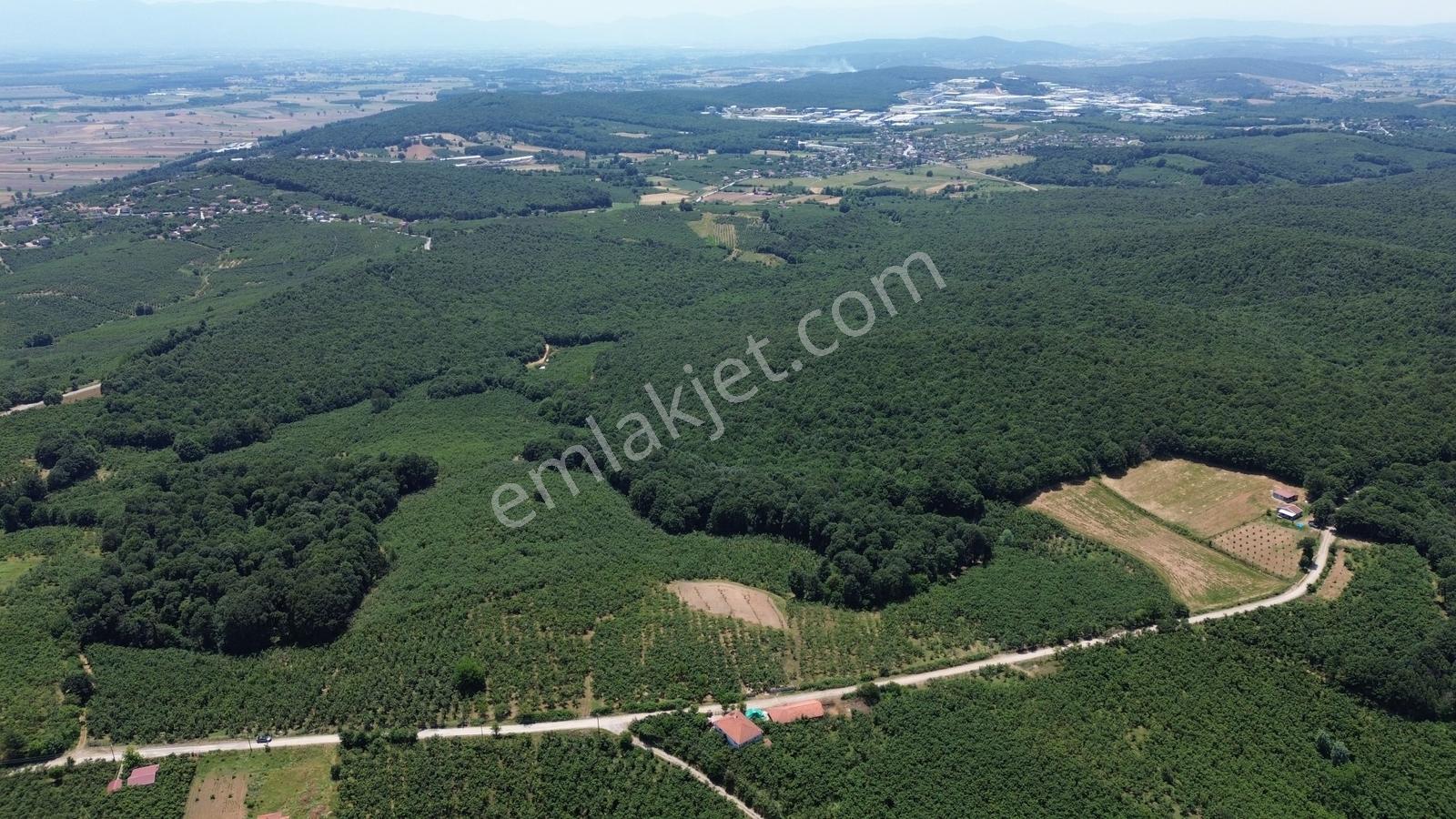 Karateke Köy Merkezinde 16788m2 Satılık Arsa - Görsel 6