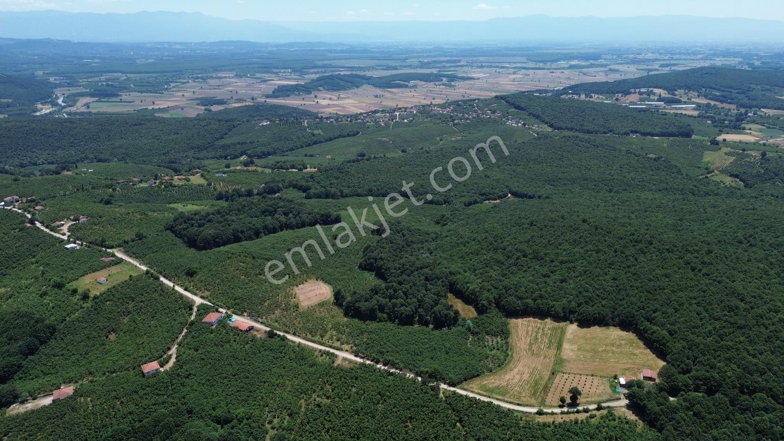 Karateke Köy Merkezinde 16788m2 Satılık Arsa - Görsel 14