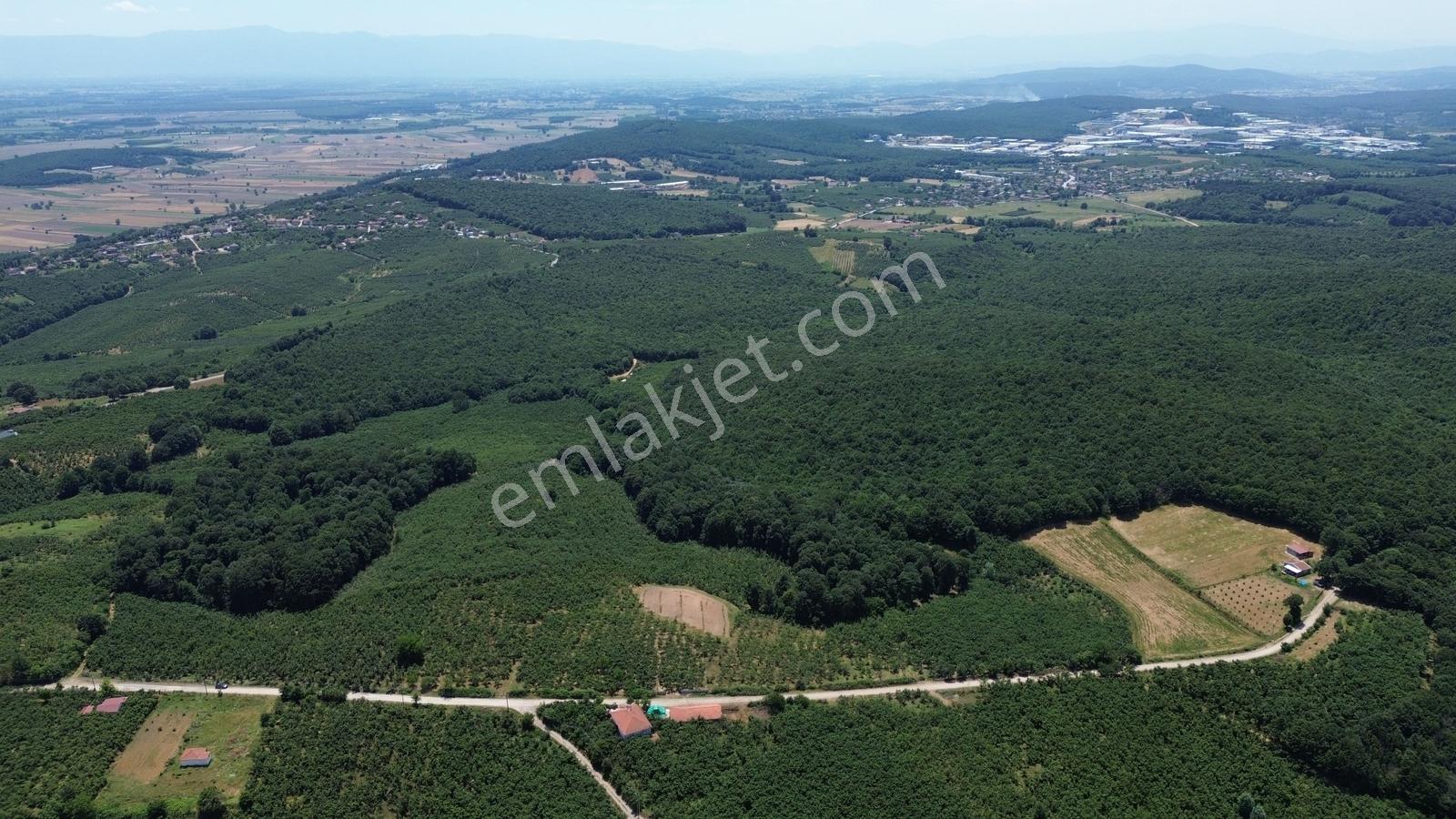 Karateke Köy Merkezinde 16788m2 Satılık Arsa - Görsel 11