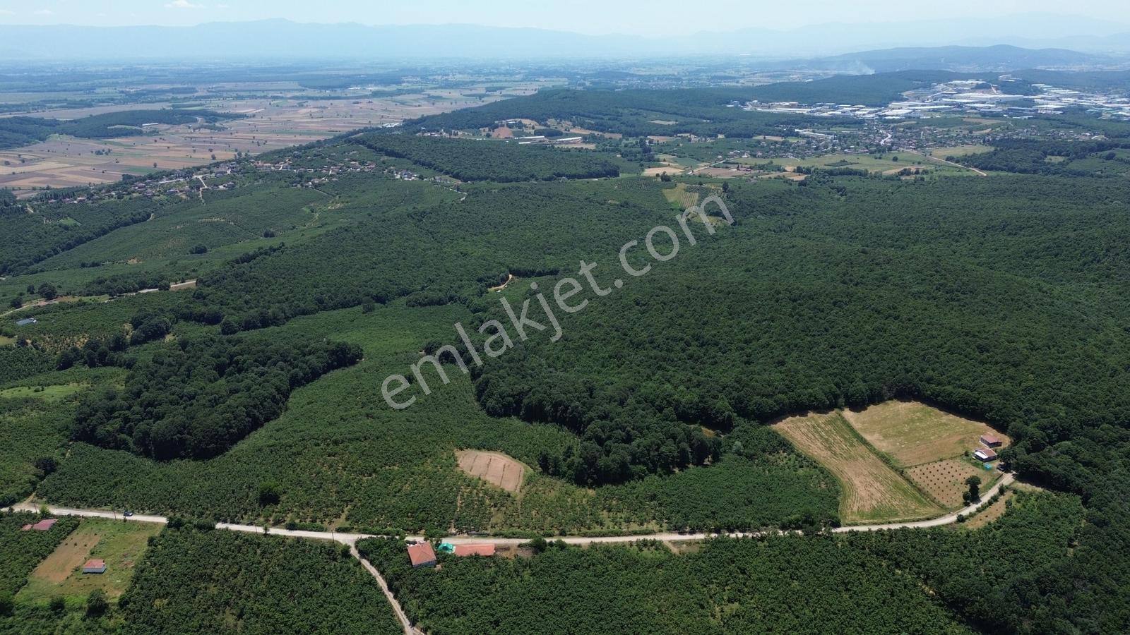 Karateke Köy Merkezinde 16788m2 Satılık Arsa - Görsel 12