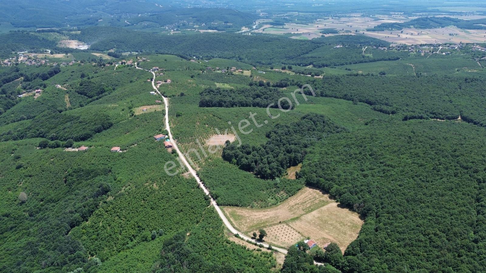 Karateke Köy Merkezinde 16788m2 Satılık Arsa - Görsel 9