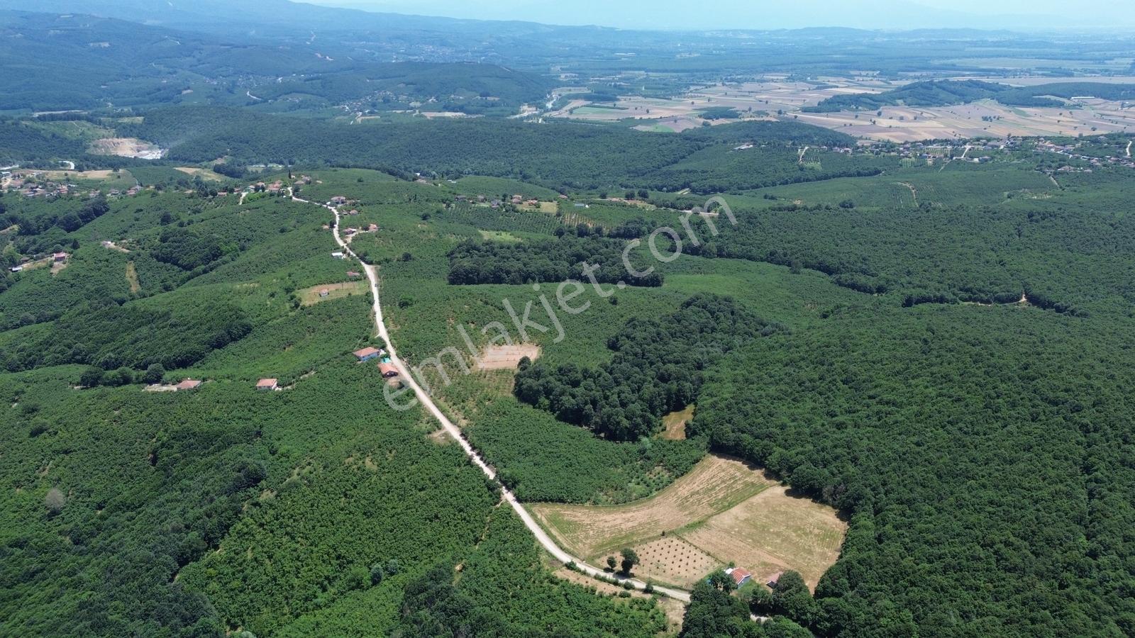 Karateke Köy Merkezinde 16788m2 Satılık Arsa - Görsel 19