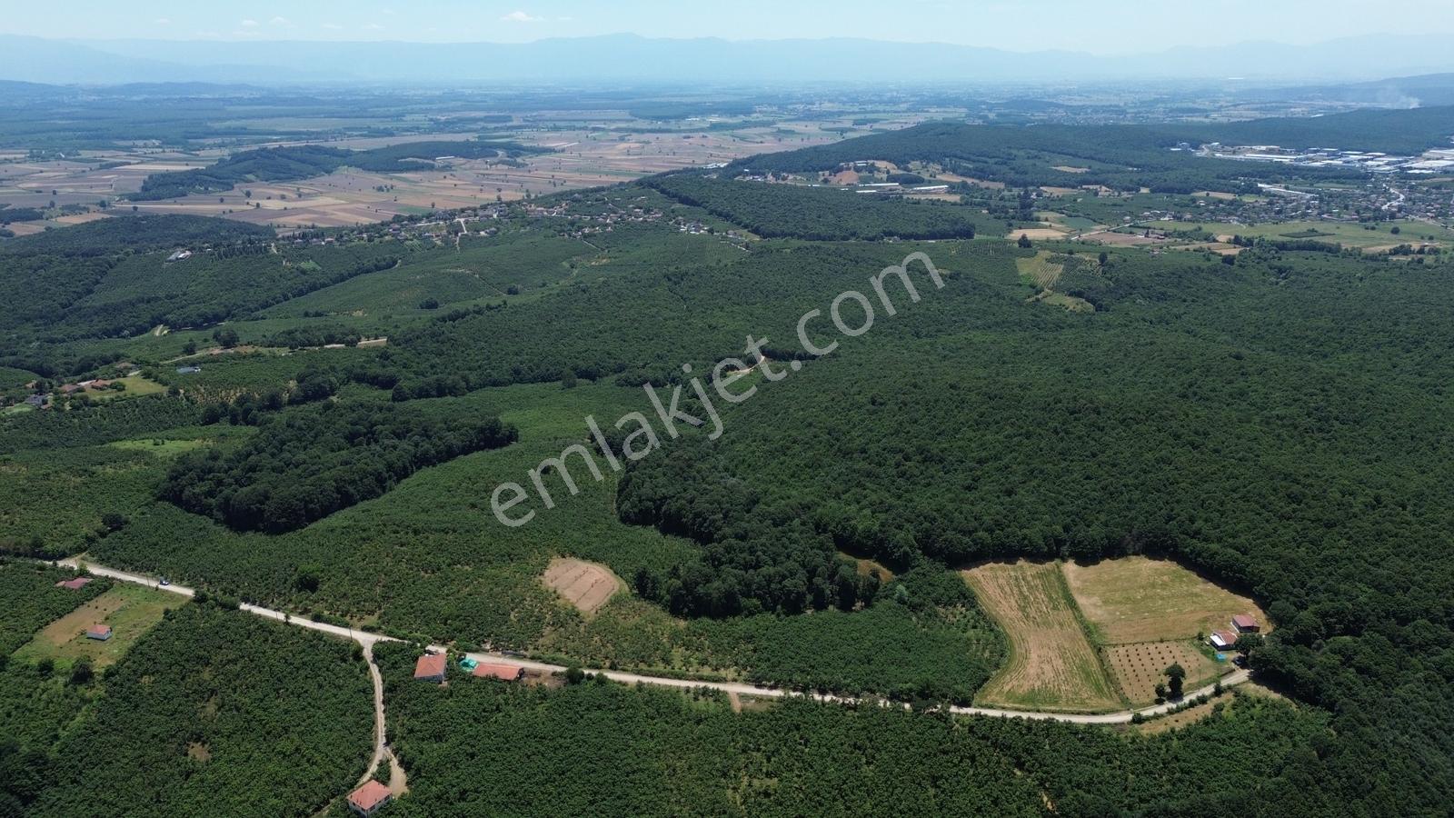 Karateke Köy Merkezinde 16788m2 Satılık Arsa - Görsel 13
