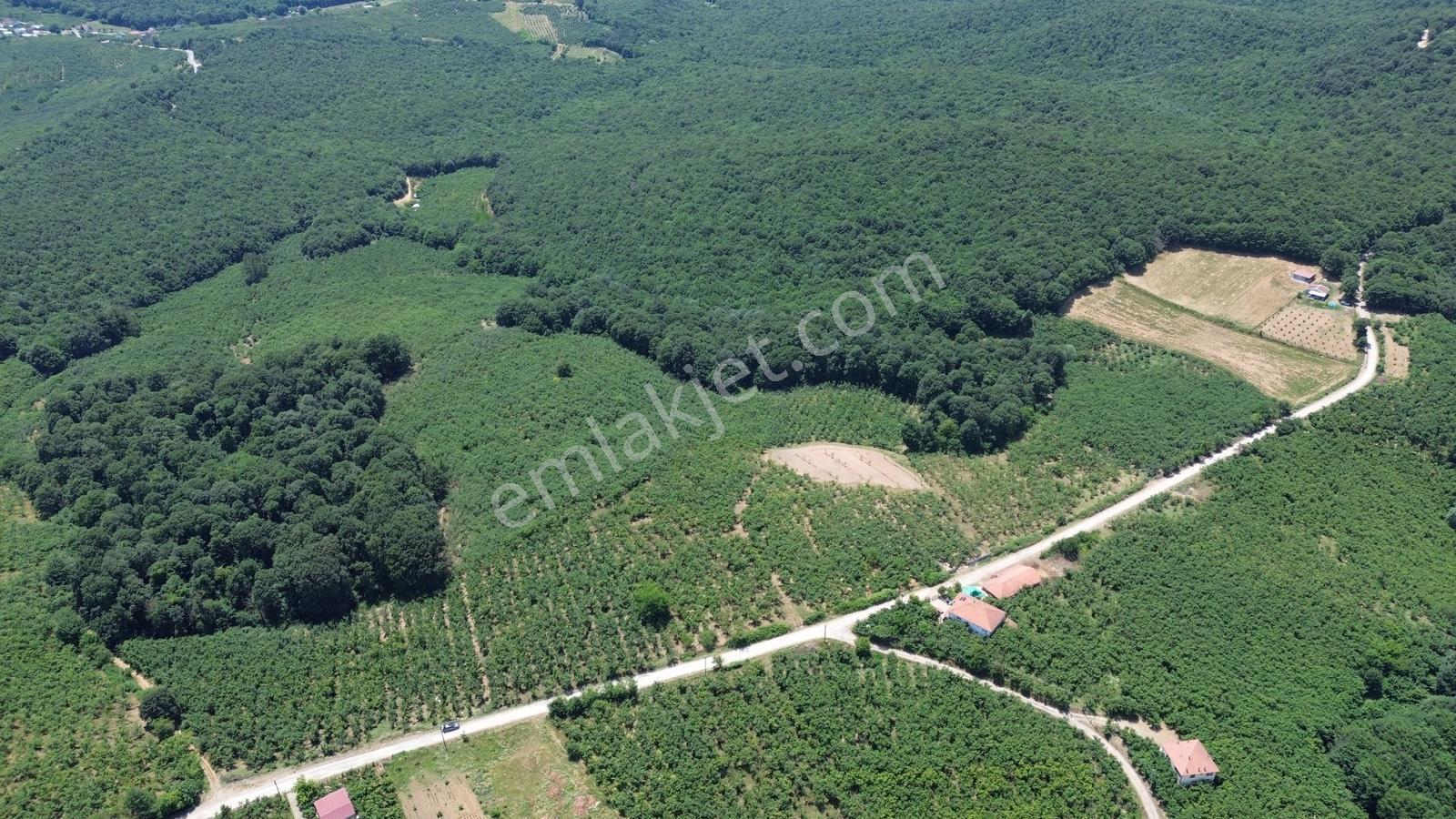 Karateke Köy Merkezinde 16788m2 Satılık Arsa - Görsel 3