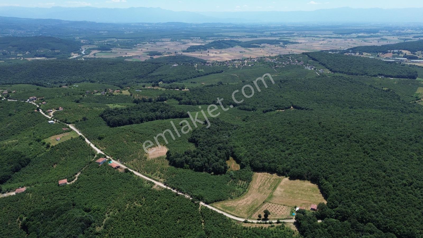 Karateke Köy Merkezinde 16788m2 Satılık Arsa - Görsel 16