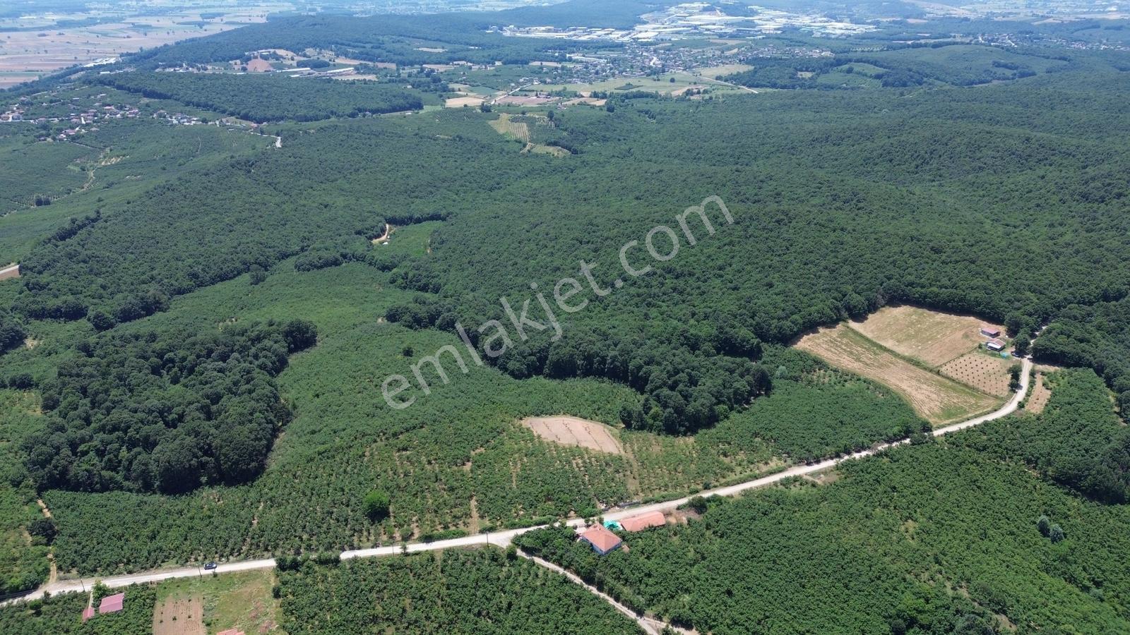 Karateke Köy Merkezinde 16788m2 Satılık Arsa - Görsel 5