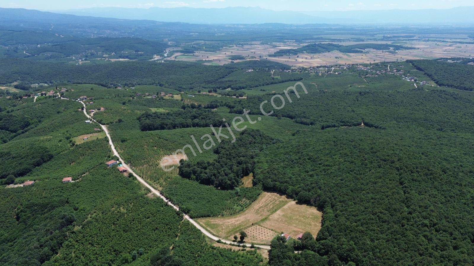 Karateke Köy Merkezinde 16788m2 Satılık Arsa - Görsel 18