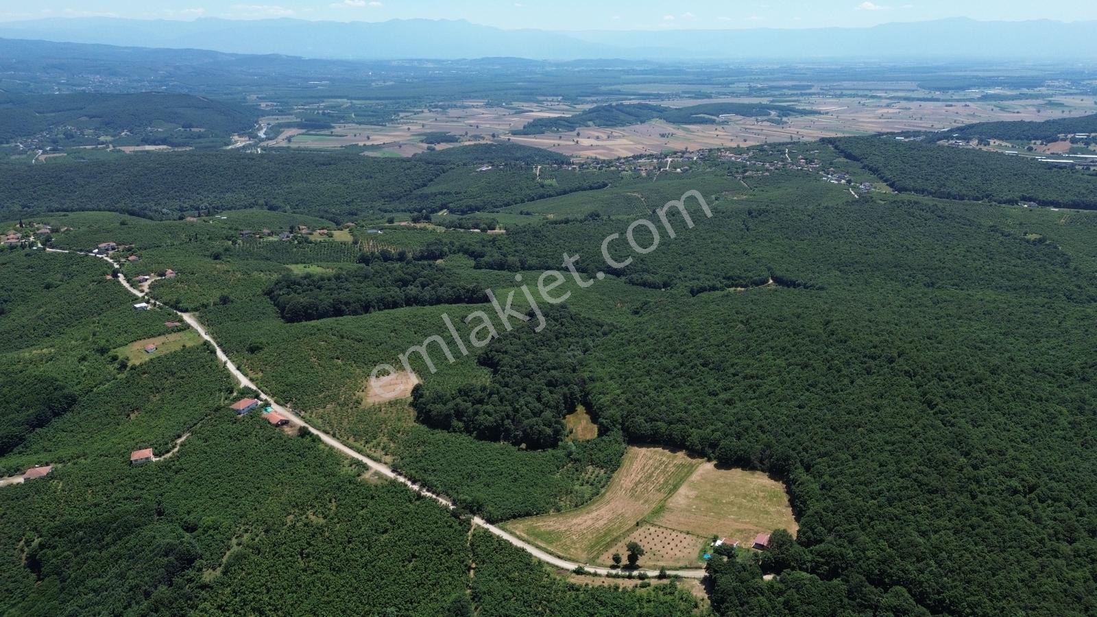 Karateke Köy Merkezinde 16788m2 Satılık Arsa - Görsel 17