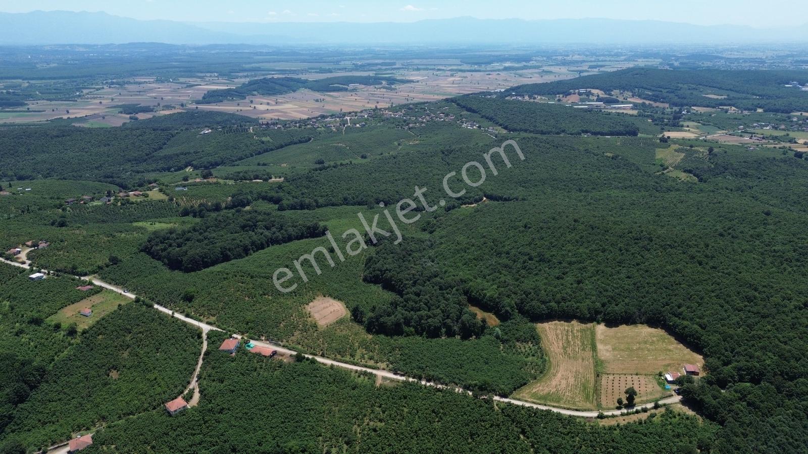 Karateke Köy Merkezinde 16788m2 Satılık Arsa - Görsel 8