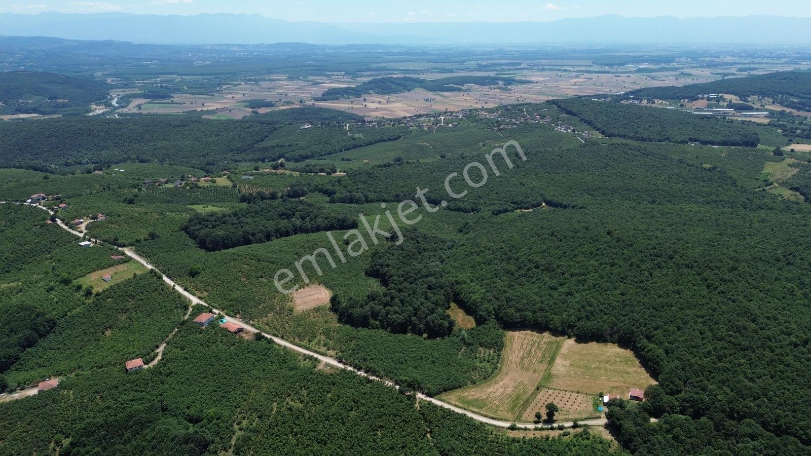 Karateke Köy Merkezinde 16788m2 Satılık Arsa - Görsel 15