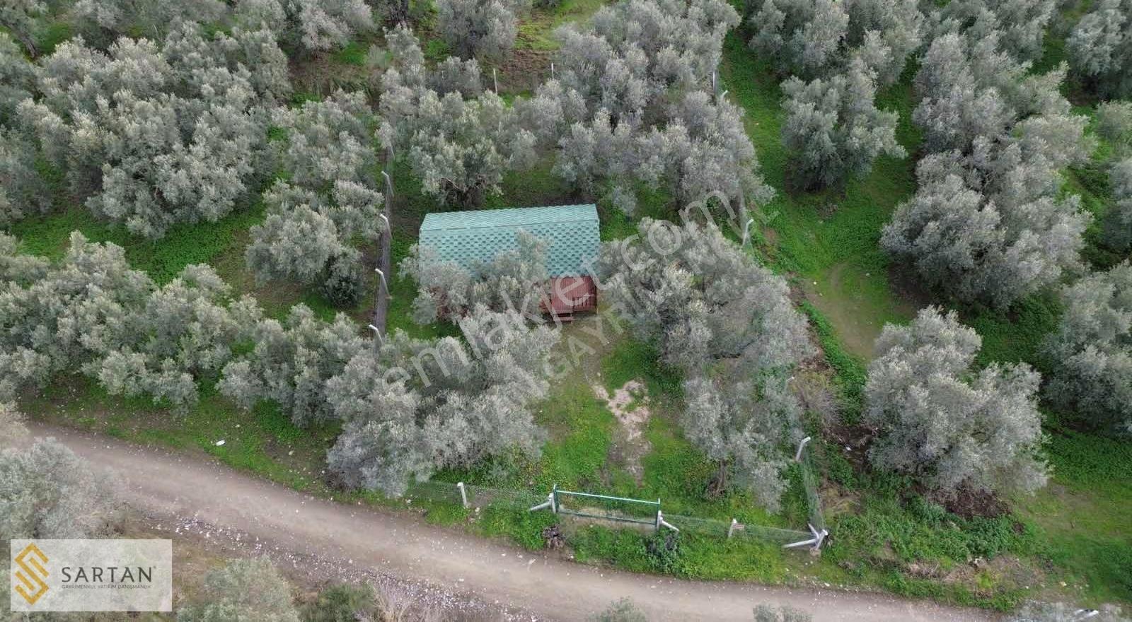 Erdek Merkezde Satılık 468 M2 Hobi Bahçesi Bungalov - Görsel 3