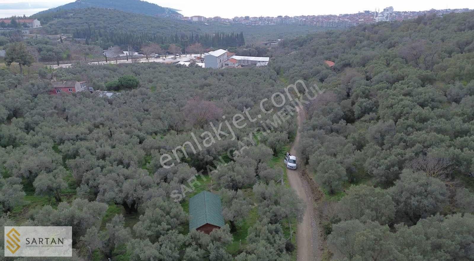 Erdek Merkezde Satılık 468 M2 Hobi Bahçesi Bungalov - Görsel 7