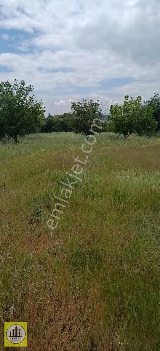 Denizli Acıpayam Yeşilyuva Satılık Konut İmarlı Arsa - Görsel 2