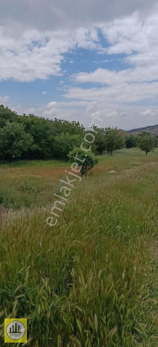 Denizli Acıpayam Yeşilyuva Satılık Konut İmarlı Arsa - Görsel 3