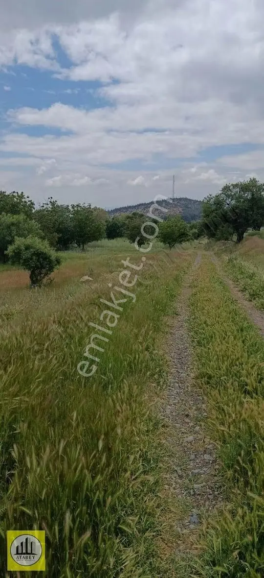 Denizli Acıpayam Yeşilyuva Satılık Konut İmarlı Arsa