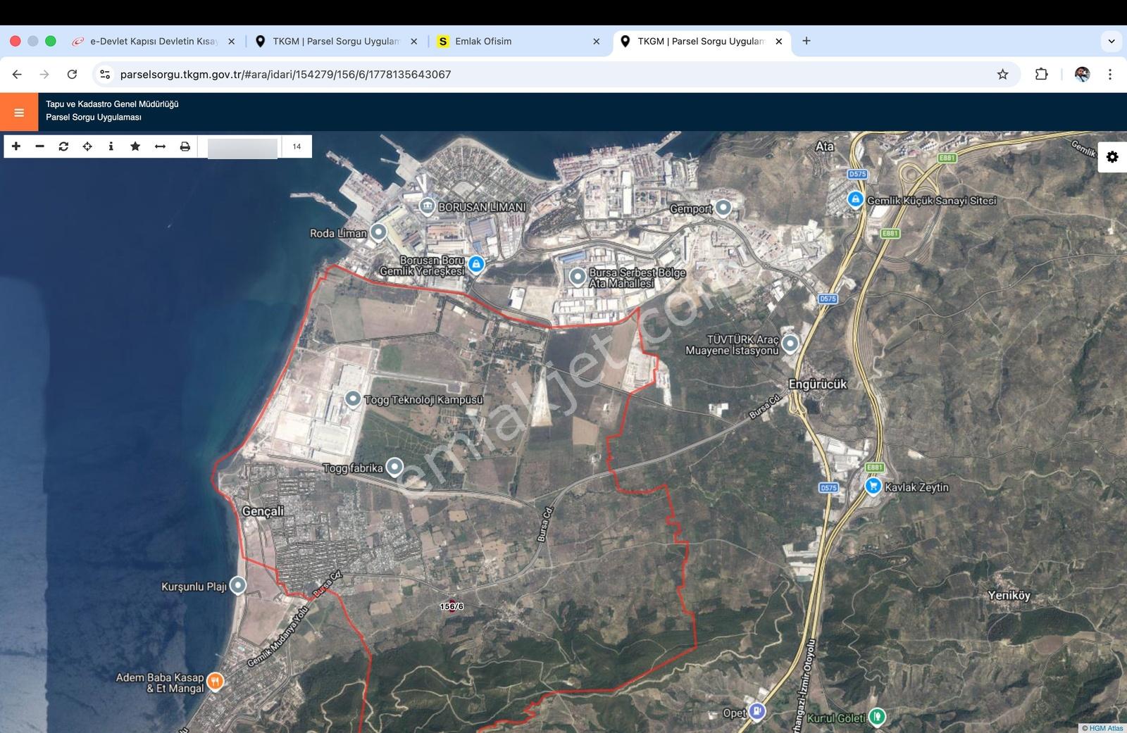 Bursa Gemlik Gençali Mahallesinde Fırsat Yatırımlık Zeytinlik - Görsel 3