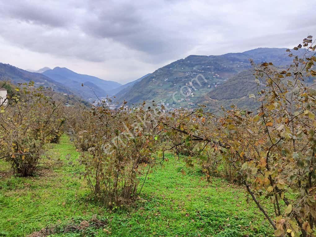 Wisrem'den Ortahisar'da Muhteşem Manzaralı Satılık Arazi - Görsel 24