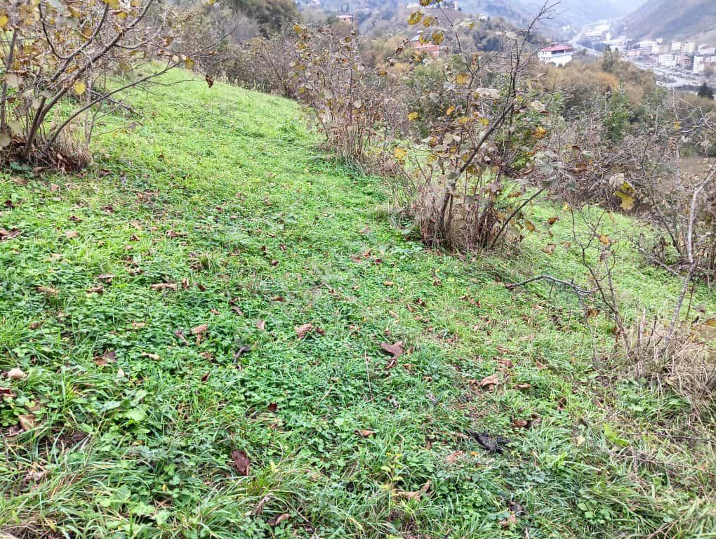 Wisrem'den Ortahisar'da Muhteşem Manzaralı Satılık Arazi - Görsel 20