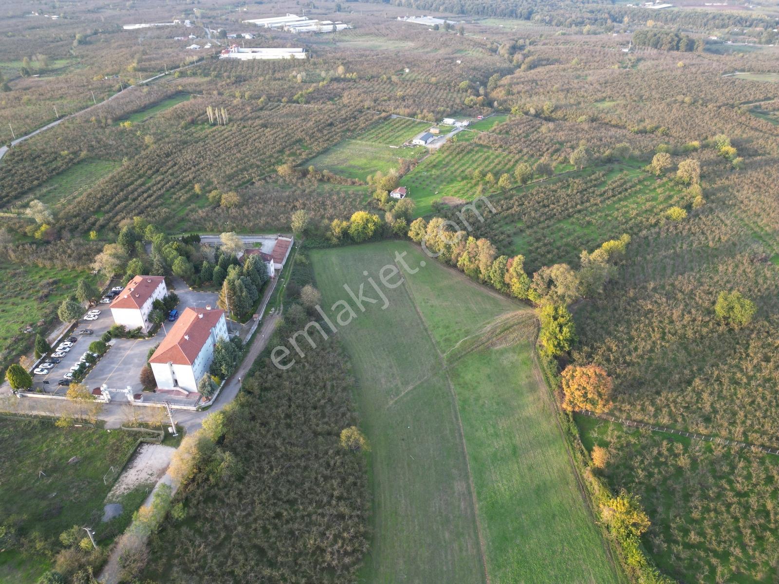 457 M2 Arsa Konut İmarlı Satılık Karapürçek Merkez - Görsel 10