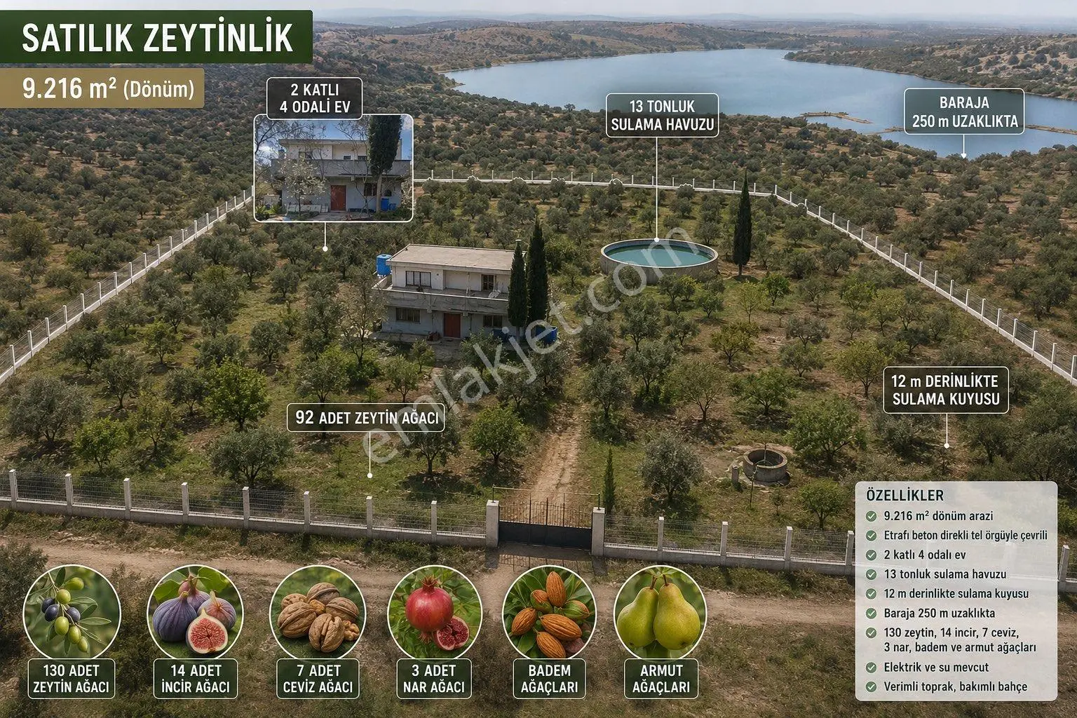 9216 M2 Baraj Manzaralı Bu Zeytinliği Gören Vazgeçemiyor! 🌿 - Görsel 2